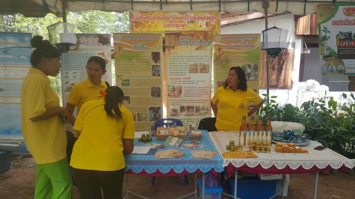 โครงการคลินิกเกษตรเคลื่อนที่ ประจำปี 2562 